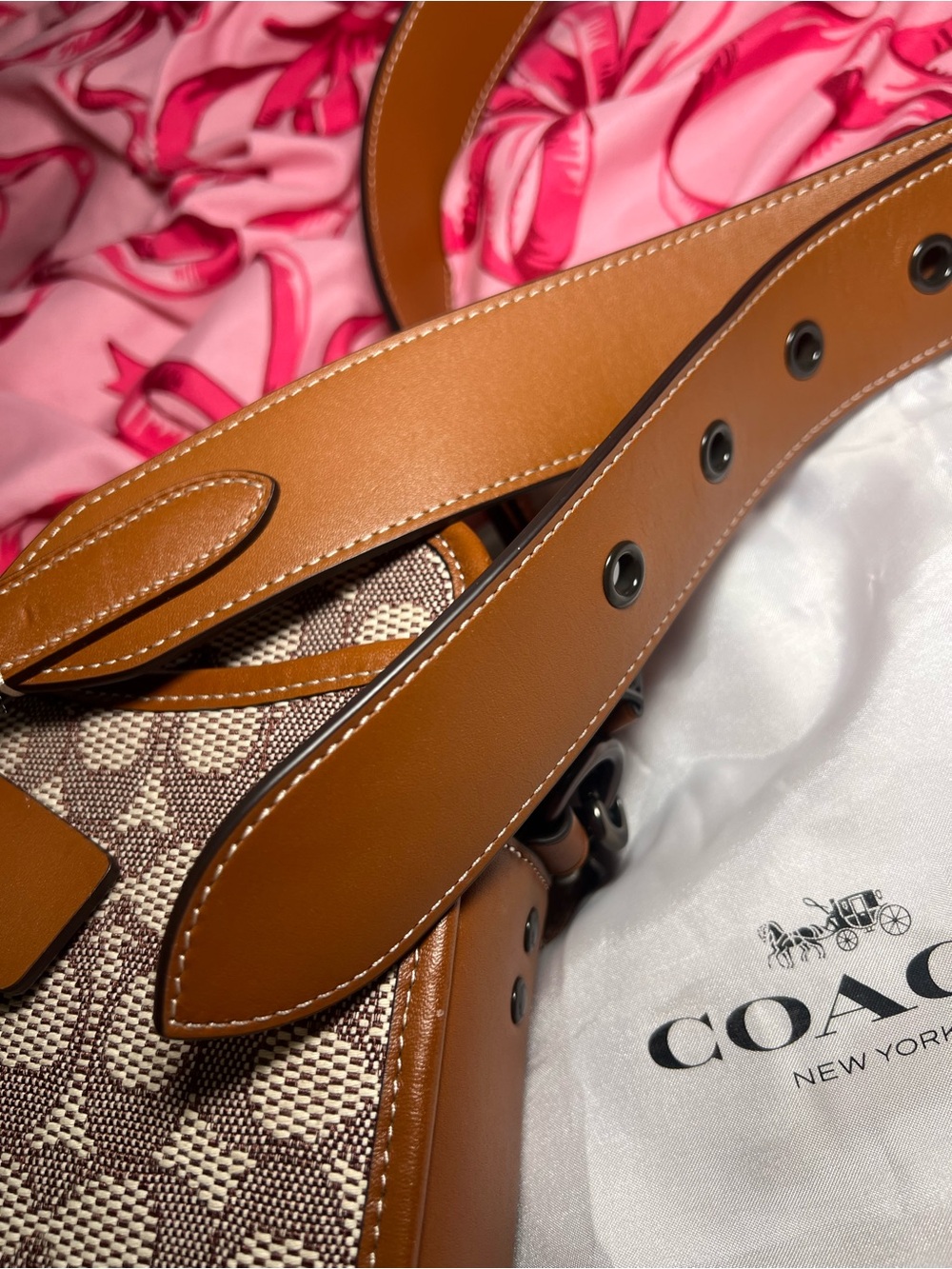 Coach x Tom Wesselmann Signature Canvas Crossbody with Red Lip Appliqués - Picture 10 of 10